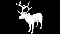 reindeer