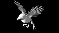 little bird