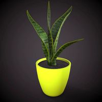 Plant 03