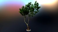 tree
