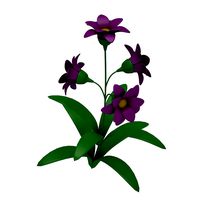 Flower 13