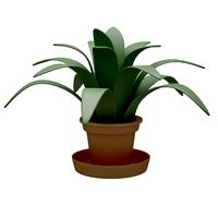 Plant 05