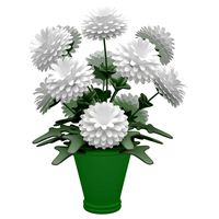 Flower 07