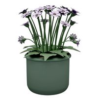 Flower 06