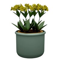 Flower 04