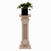 Plant 04