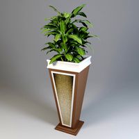 Flowerpot with plant