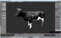 Cow