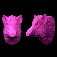 boar head