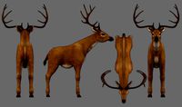 Deer animal Low-poly