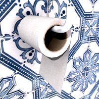 toilet paper