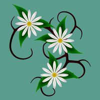 FG Vine Flowers 01