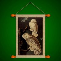 FR Snowy Owl