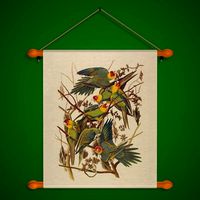 FR Parrots