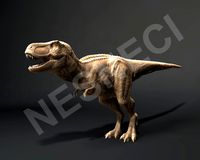 Trex