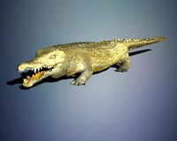 Crocodile