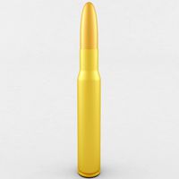 30-06 Cartridge