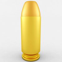 40 S&W Cartridge