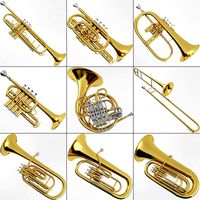 Brass Musical Instrument Collection