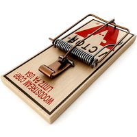 Mouse Trap