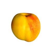 Nectarine E