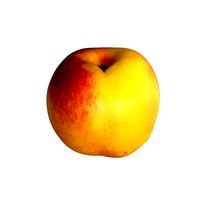 Nectarine B