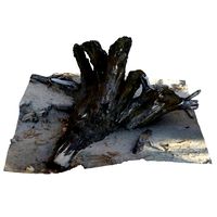 Old Tree stump on the Beach scan 23