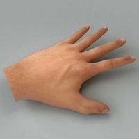 Human hand