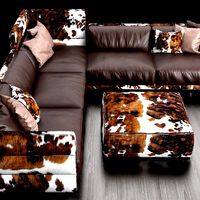 Sofa wafer dandy gamma