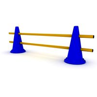 Training Cone