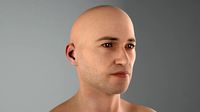 Male full body Rig