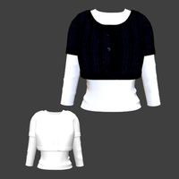 Sweater with Shirt