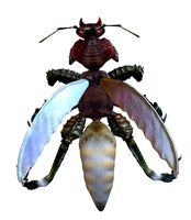 Mutated beetle ant mantis
