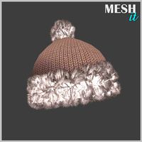 Winter Hat