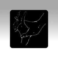 Girl logo lasercut