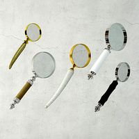 Decorative Magnifying Glasses / ZARA HOME