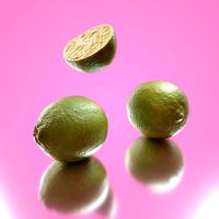 Photorealistic Limes