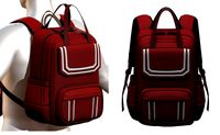 Backpack bag baggage pockets product