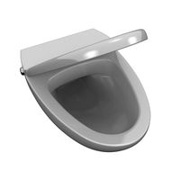 Toilet Bowl