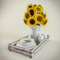 Sunflowers 3D Model