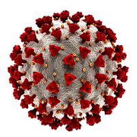 Covid-19 Coronavirus