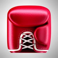 Icon Boxing Glove