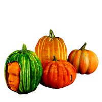 Pumpkins
