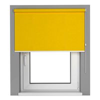 shade with window 1