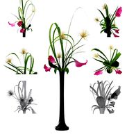 Thai Thomas Mai Van floristry Iqibana bouquet