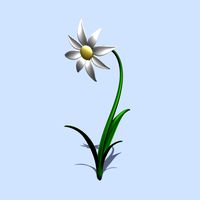 Daisy