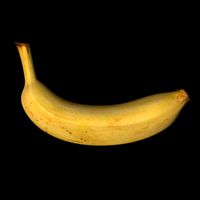 Banana
