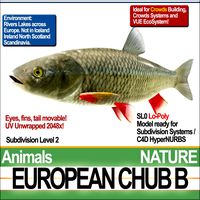 European Chub B