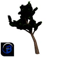 tree 6