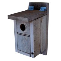 Bird House